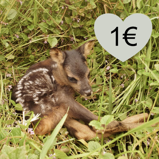Spende Rehkitzrettung 1 Euro