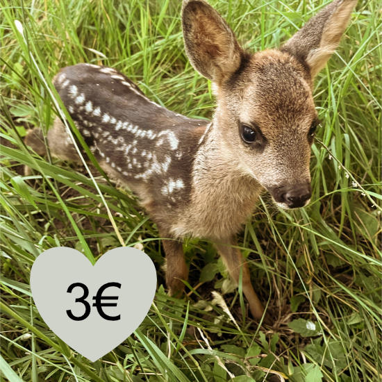 Spende Rehkitzrettung 3 Euro