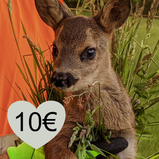 Spende Rehkitzrettung 10 Euro