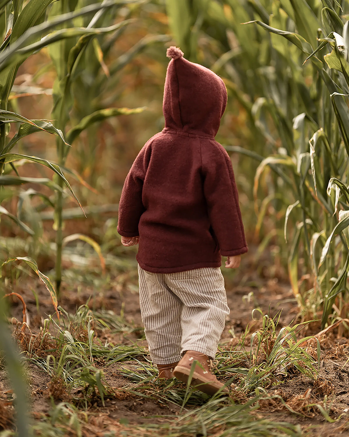 Kind in der Kitz Heimat Wollfleece-Jacke Burgundy/Burgundy mit spitzer Kapuze und rosafarbener Quaste, von hinten beim Gehen durch ein Maisfeld.